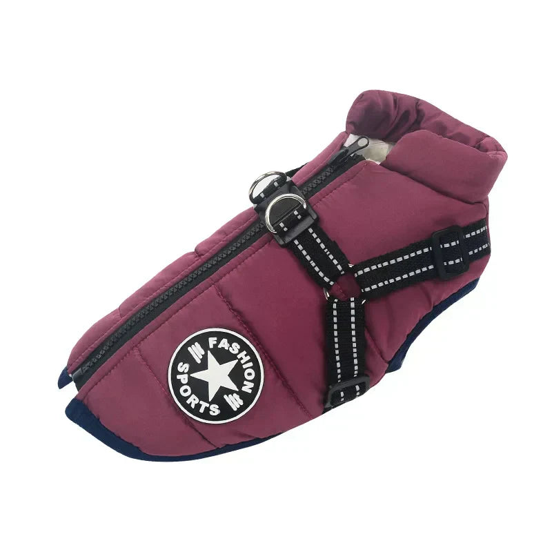 Veste Waterproof Chien Ultime – Protection Moderne et Confortable pour Aventures en Toute Saison