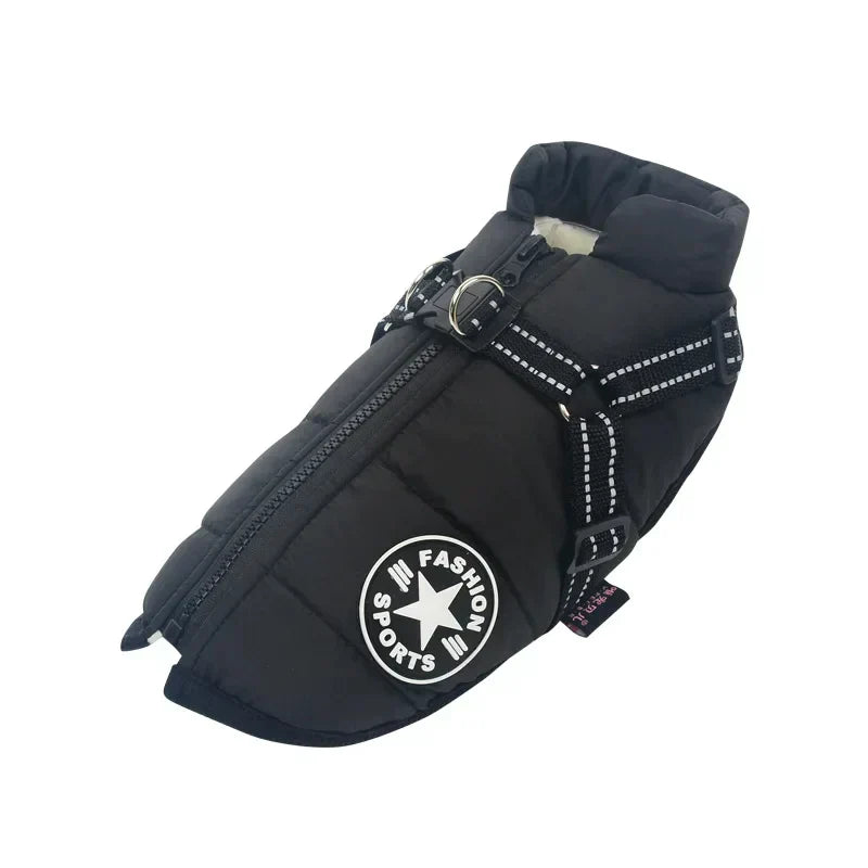 Veste Waterproof Chien Ultime – Protection Moderne et Confortable pour Aventures en Toute Saison