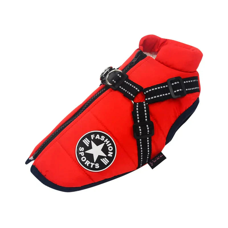 Veste Waterproof Chien Ultime – Protection Moderne et Confortable pour Aventures en Toute Saison