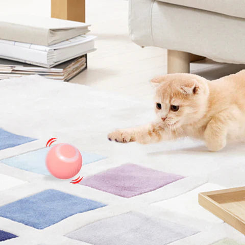 PawFun Interactive Smart Rolling Ball for Cats – Automatic LED Toy with Obstacle Avoidance