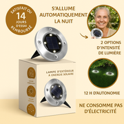 Lampe solaire Spot à piquer
