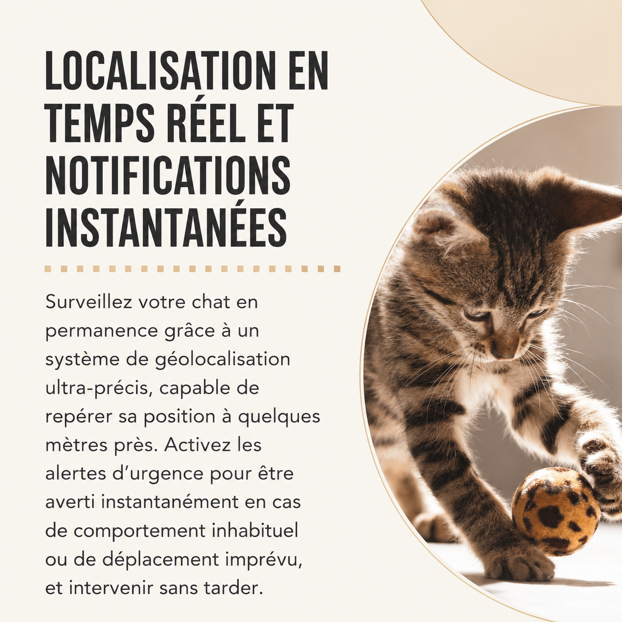 Traceur GPS pour Chat – Localisation Facile et Sans Abonnement
