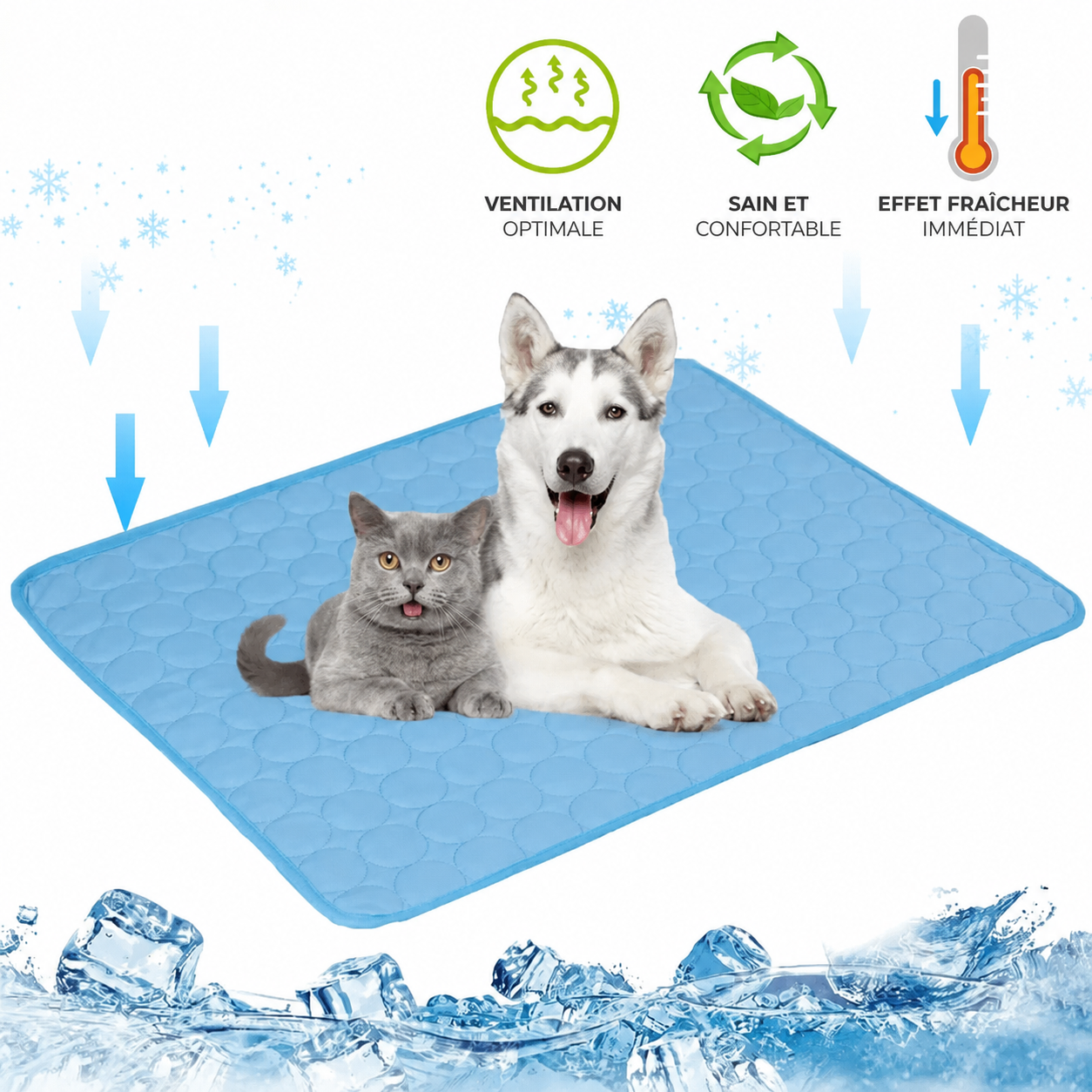 FreshPaw – Tapis Rafraîchissant pour Animaux