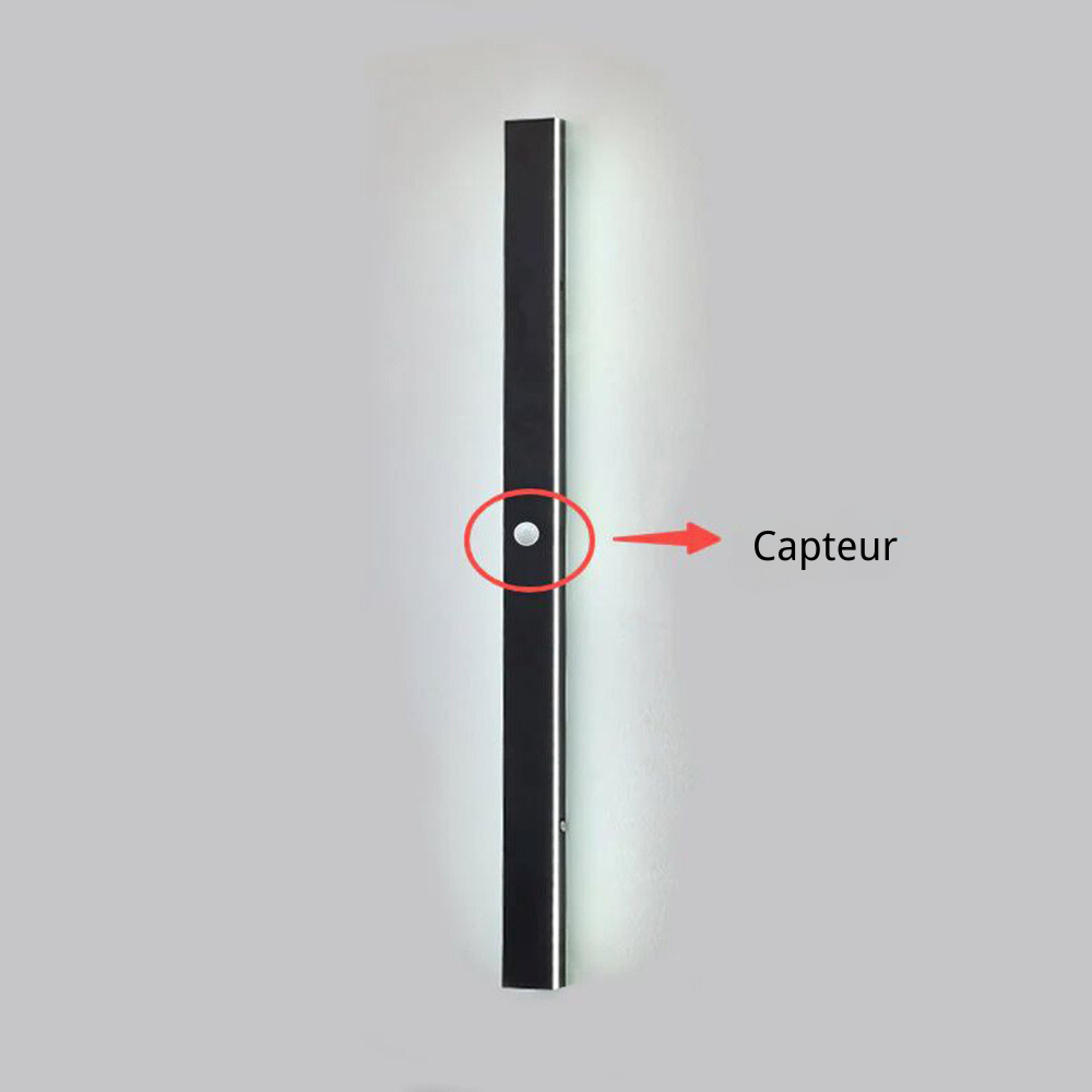Elune Applique Murale Extérieur LED Étanche Minimaliste Métal Cour