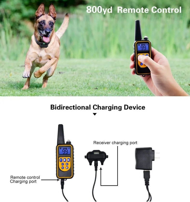 Lupak | Collier de dressage avec télécommande et stimulation réglable