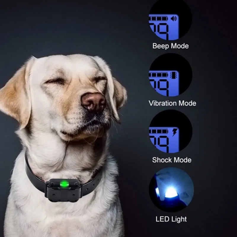 Lupak | Collier de dressage avec télécommande et stimulation réglable