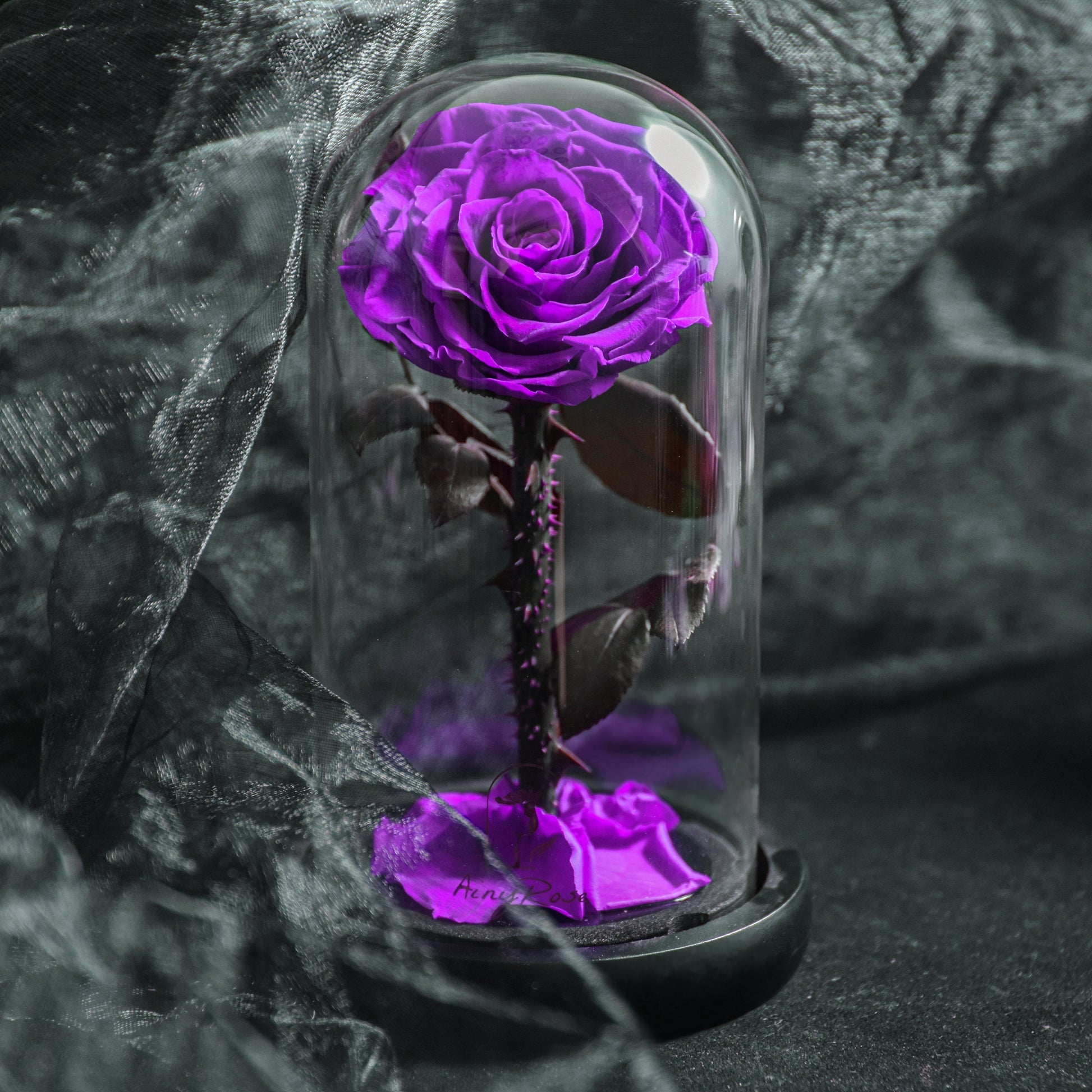 Rose Éternelle Bleue sous Cloche en Verre Élégante et Durable Fleurs et plantes artificielles Electro Paris Violet