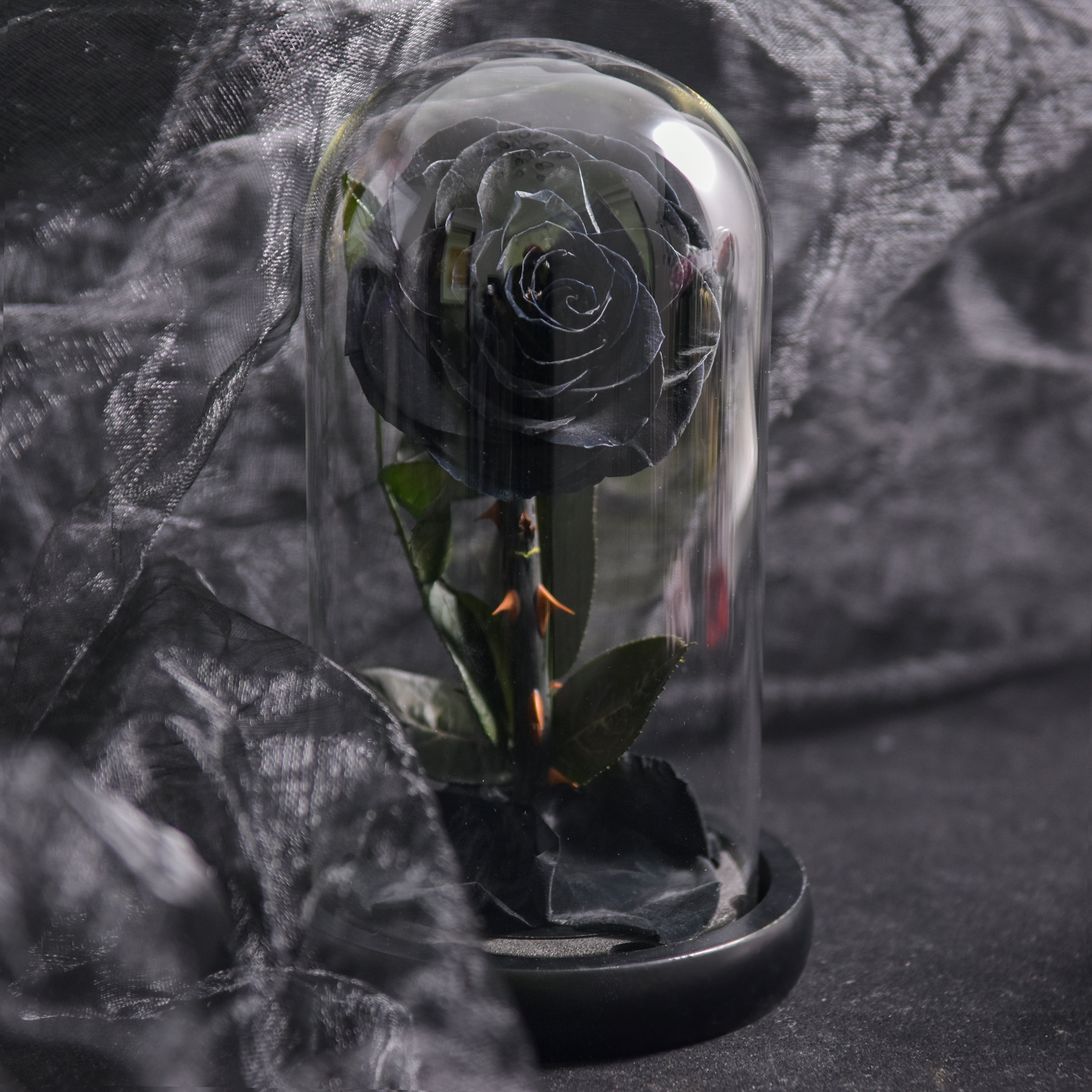 Rose Éternelle Bleue sous Cloche en Verre Élégante et Durable Fleurs et plantes artificielles Electro Paris Noir