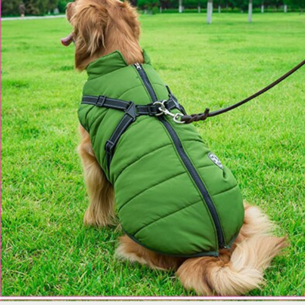 Veste Waterproof Chien Ultime – Protection Moderne et Confortable pour Aventures en Toute Saison