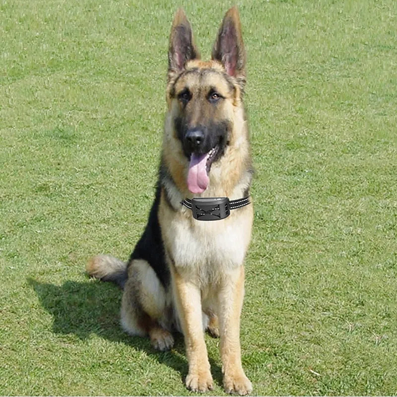 Collier anti fugue pour chiens avec portée réglable pour un entraînement en toute sécurité