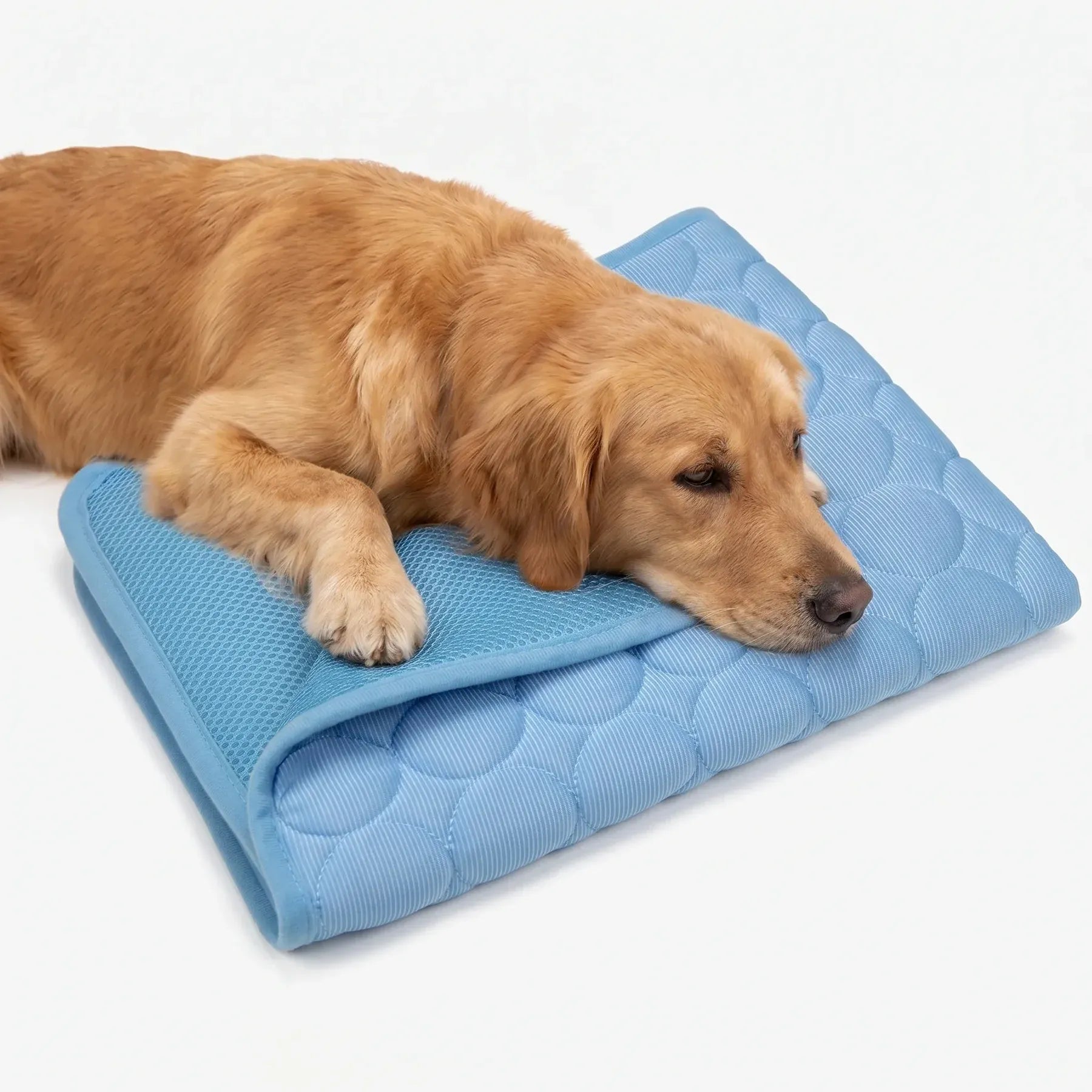 FreshPaw – Tapis Rafraîchissant pour Animaux