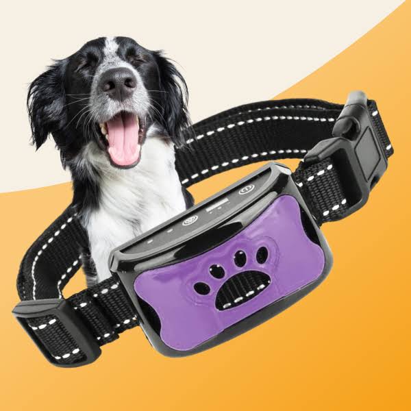 Collier anti-aboiement adapté aux animaux de compagnie
