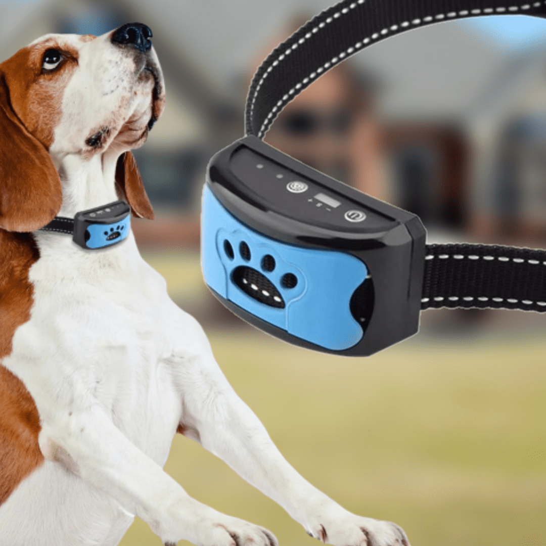 Collier anti-aboiement adapté aux animaux de compagnie